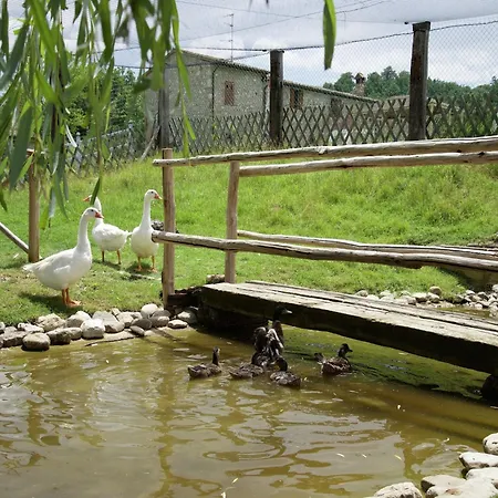 In With Pool And Terrace Сasa de vacaciones *